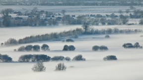 英格兰，萨默塞特 (© Guy Edwardes/Minden Pictures)(2019-01-17)