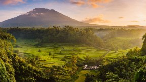 【2020-05-14】 以阿贡火山为背景Sidemen山谷中的稻田，印度尼西亚巴厘岛 (© Jon Arnold/Danita Delimont)