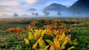 【2020-11-16】 日本北海道 (© Hiroshi Yokoyama/eStock Photo)