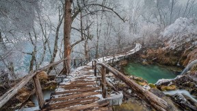 普利特维采湖群国家公园中的高架步道，克罗地亚 (© Alessandro Laporta/Offset by Shutterstock)(2020-12-06)