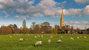 【2020-04-28】 索尔茲伯里大教堂与放牧的羊群，英格兰 (© Slawek Staszczuk Photo/Alamy)