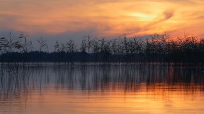 【2020-07-12】 埃热泽尔斯湖面上的波纹，拉脱维亚拉特加尔地区 (© Eaglewood Films/Nimia)
