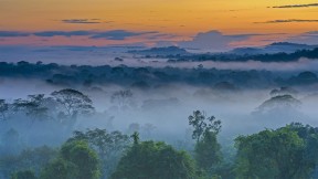 上弗洛雷斯塔附近晨雾中亚马逊雨林，巴西马托格罗索 (© Pulsar Imagens/Alamy)(2021-05-14)