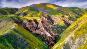 卡里佐平原国家纪念区的野花，加利福尼亚 (© Dennis Frates/Alamy)(2021-04-14)