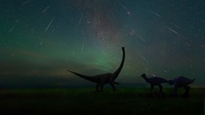 【2021-08-11】 拍摄于二连浩特恐龙博物馆中的英仙座流星雨，中国内蒙古 (© bjdlzx/Getty Images)