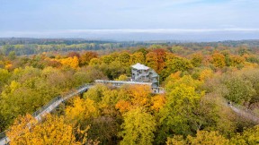 【2021-09-11】 Treetop walkway in Hainich National Park, Thuringia, Germany (© mauritius images GmbH/Alamy)