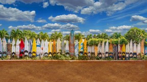 【2021-08-24】 排成篱笆模样的旧滑板，夏威夷毛伊岛 (© Matt Anderson Photography/Getty Images)