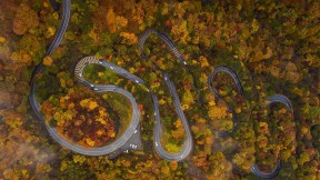 【2021-11-22】 伊吕波坂山道，日本日光市 (© LightRecords/Shutterstock)