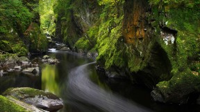 【2021-04-23】 贝图瑟科伊德的Fairy Glen，英国威尔士 (© Robert Harding World Imagery/Offset by Shutterstock)