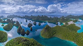 拉贾安帕特群岛中的瓦亚格岛，印度尼西亚 (© Amazing Aerial Agency/Offset by Shutterstock)(2021-03-31)