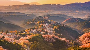 吉野山，日本奈良 (© Sean Pavone/iStock/Getty Images Plus)(2021-04-11)