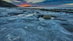 蒙茅斯海滩的菊石路面，英国多塞特侏罗纪海岸世界遗产地 (© AWL Images/Danita Delimont)(2022-10-12)