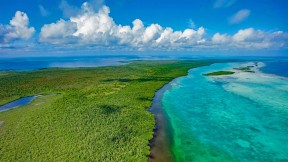 【2022-09-09】 伯利兹大堡礁 伯利兹堡礁保护区, 伯利兹 (© Tom Till/Alamy)