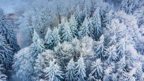 【2022-12-15】 冬季仙境 博罗韦茨，保加利亚 (© Grigor Ivanov/Cavan Images)