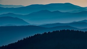 【2022-06-15】 烟雾间的自然摄影日 大雾山国家公园，田纳西州 (© Tony Barber/Getty Images)