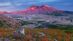 【2022-08-27】 华盛顿圣海伦斯山国家火山纪念区 圣海伦斯山国家火山纪念区的边界小径，美国华盛顿州 (© Don Geyer/Alamy)