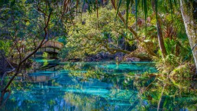 【2022-03-11】 杜松泉，佛罗里达州 奥卡拉国家森林中的杜松泉，美国佛罗里达州 (© Michael Warren/Getty Images)