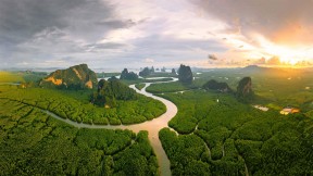 【2022-06-29】 国际热带日 攀牙湾安达曼海的红树林，泰国 (© Ratnakorn Piyasirisorost/Getty Images)