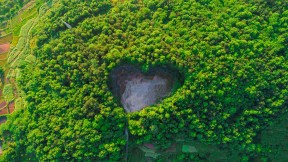 上海浦东森林心形洞穴鸟瞰图，中国 (© Yaorusheng/Getty Images)(2022-08-04)