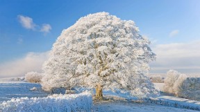 【2022-02-28】 英格兰科茨沃尔德的冬天 霜雪覆盖下的科茨沃尔德，英格兰 (© Peter Adams/Getty Images)