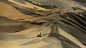沙丘中的南非剑羚，纳米比亚 (© Sergey Gorshkov/Alamy)(2023-06-02)