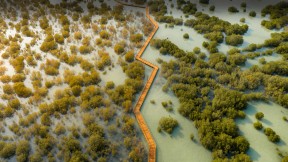 朱拜勒红树林公园，阿布扎比，阿拉伯联合酋长国 (© Amazing Aerial Premium/Shutterstock)(2023-07-26)