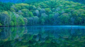 【2023-08-06】 一面反映大自然之美的镜子 镜池，长野，日本 (© Shoji Fujita/Getty Images)