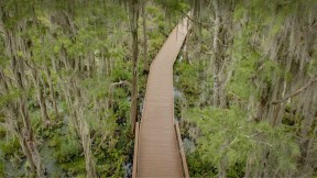 奥克弗诺基沼泽木板路上的西班牙苔藓，佐治亚州，美国 (© Emmer Photo/Alamy)(2023-06-13)