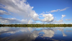 【2023-11-27】 水上明镜 内格罗河，亚马逊河流域，巴西 (© Timothy Allen/Getty Images)