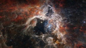 狼蛛星云中形成的年轻恒星，詹姆斯·韦布空间望远镜 (© NASA, ESA, CSA, STScI, Webb ERO Production Team)(2023-10-04)