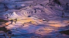 梯田鸟瞰图，元阳，中国 (© AlexGcs/Getty Images)(2023-03-07)