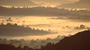 亚马逊雨林，巴西 (© Claus Meyer/plainpicture)(2024-06-22)