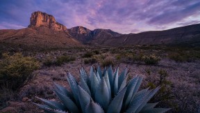 瓜达卢佩山脉国家公园日出时的埃尔卡皮坦山，德克萨斯州，美国 (© Adam Mowery/Tandem Stills + Motion)(2024-04-28)