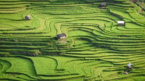 越南安沛省木仓寨的水稻梯田 (© Kiatanan Sugsompian/Getty Images)(2024-07-07)