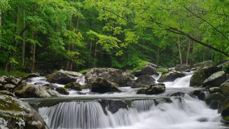 【2025-05-30】 流经烟雾弥漫之地 小鸽子河，大雾山国家公园，田纳西州, 美国 (© GreenStock/Getty Images)