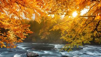 River rapids in Algonquin Provincial Park, Ontario (© Pgiam/Getty Images)