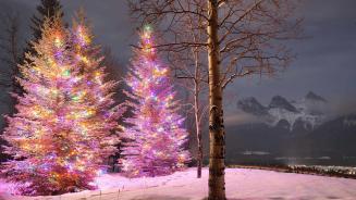 Christmas trees with the Three Sisters mountain in the background, Canmore, Alberta (© Nick Fitzhardinge/Moment/Getty Images)