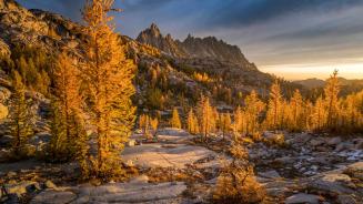 Golden larches and Prusik Peak, Enchantments, Washington (© Jim Patterson/Tandem Stills + Motion)