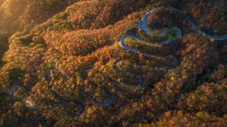 Irohazaka Road in autumn, Nikko, Tochigi, Japan (© oneinchpunch/Shutterstock)