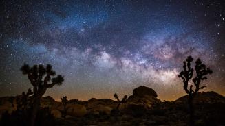 Milky Way over Joshua Tree National Park, California (© Schroptschop/Getty Images)