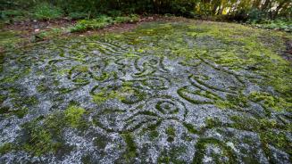 Ancient rock carvings at Petroglyph Provincial Park in Nanaimo, Canada (© Chase Clausen/Shutterstock)