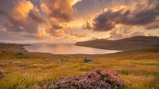 Heather growing in Glen Brittle, Isle of Skye, Scotland (© Adam Mowery/TANDEM Stills + Motion)