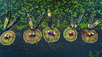 Water lily harvest, Mekong River Delta, Long An, Vietnam (© Khanh Phan/Solent News/Shutterstock)