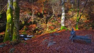 Statue von Robert Burns in den Birks of Aberfeldy, Perth and Kinross, Scotland (© Dennis Barnes/Getty Images)