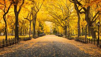 Herbst im Central Park, Manhattan, New York City, USA (© mapman/Shutterstock)