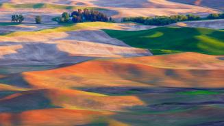 Terreni agricoli nel Palouse, Washington, Stati Uniti (© EJ-J/Getty Images)