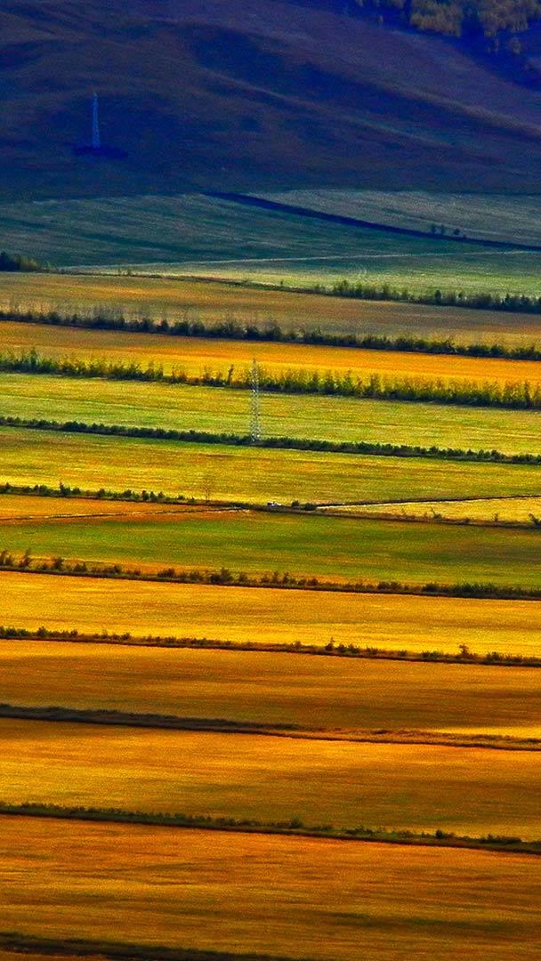 【今日立秋】内蒙古呼伦贝尔草原,中国 (© Sino Images/Getty Images)