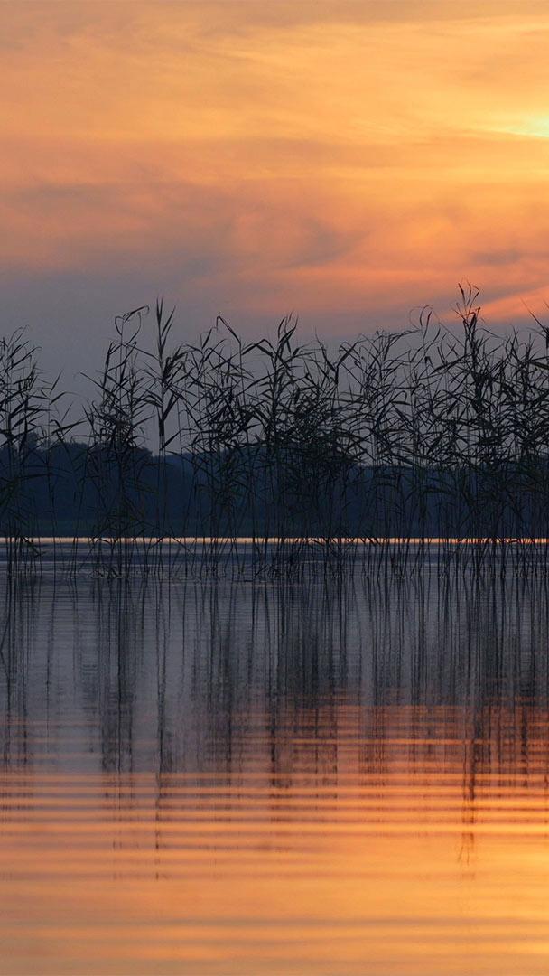 埃热泽尔斯湖面上的波纹,拉脱维亚拉特加尔地区 (© Eaglewood Films/Nimia)