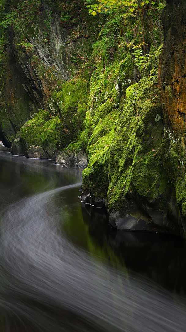 贝图瑟科伊德的Fairy Glen,英国威尔士 (© Robert Harding World Imagery/Offset by Shutterstock)