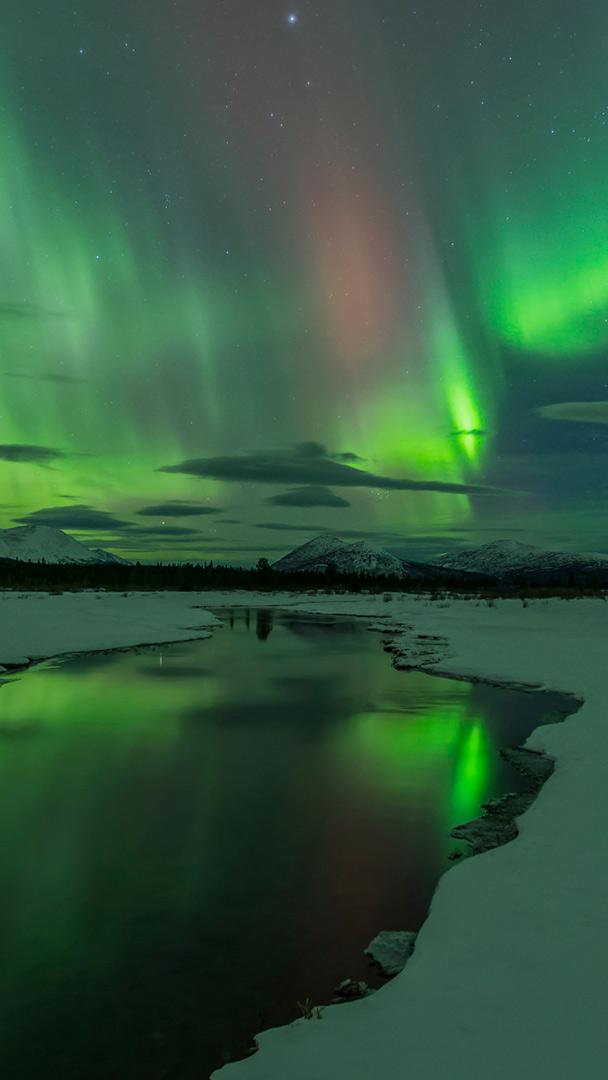 极光展示，怀特霍斯，育空地区，加拿大 (© John Hyde/plainpicture/Design Pics)